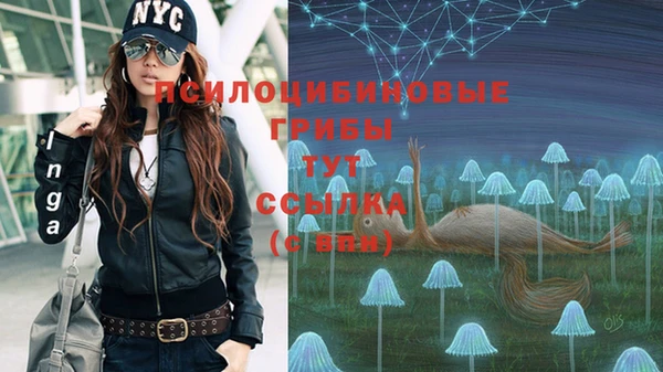 стаф Алексеевка