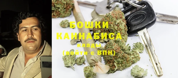 стаф Алексеевка